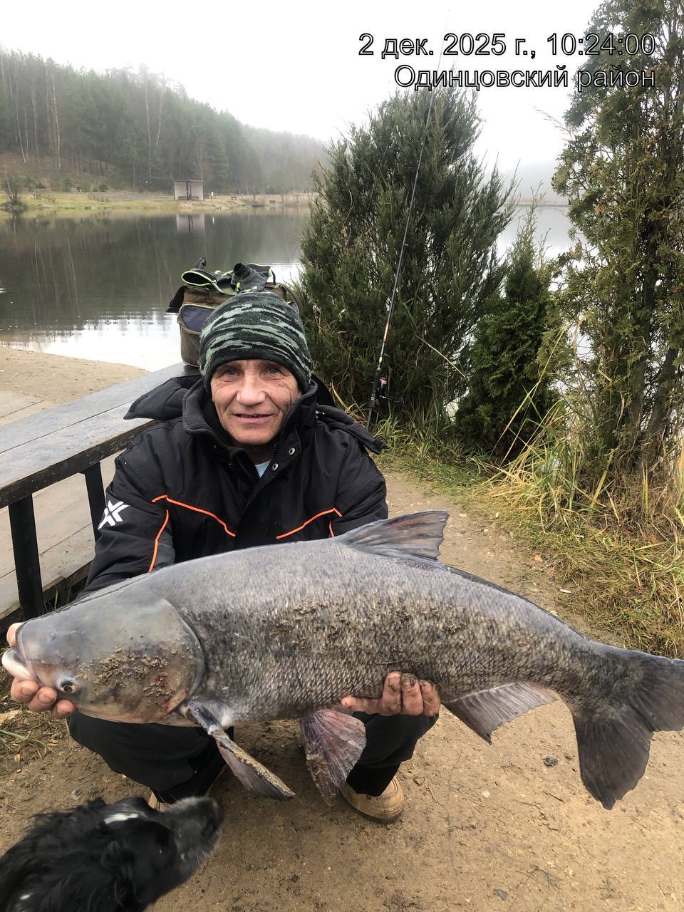 Толстолобик гигант