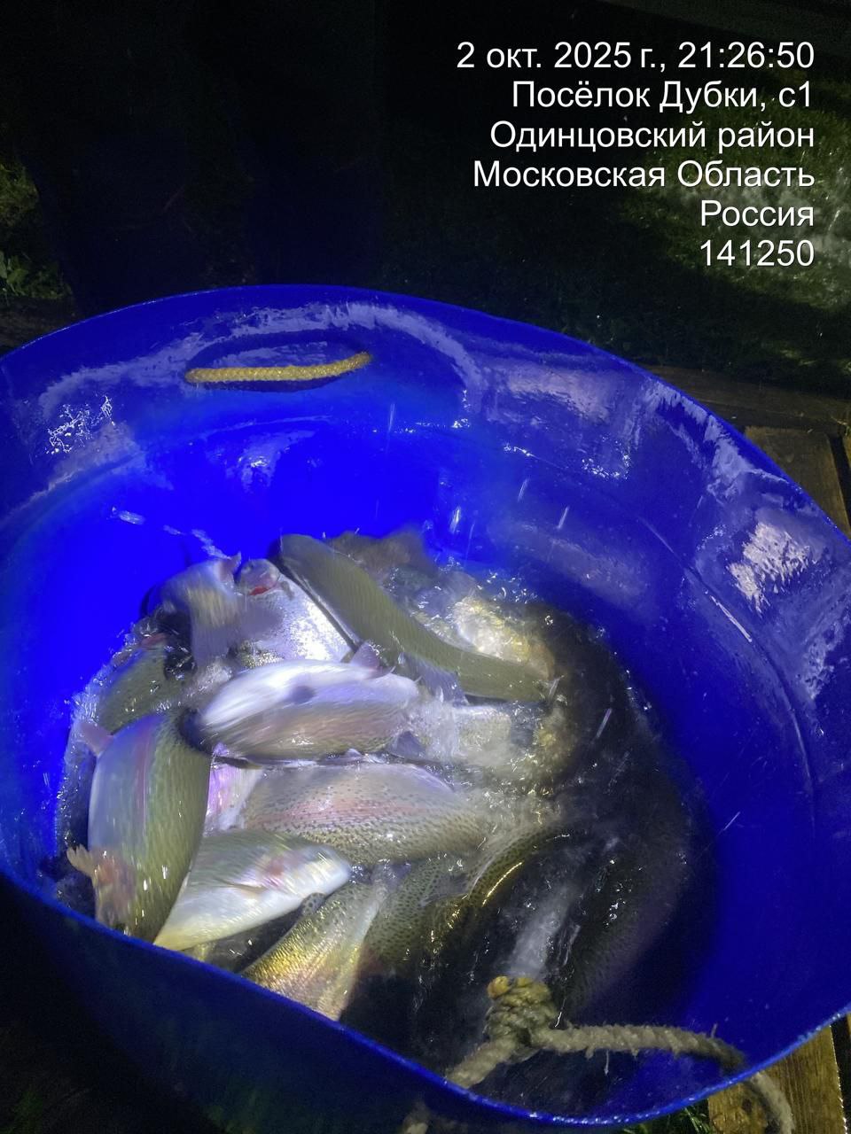 Долгожданная форель Долгожданная форель