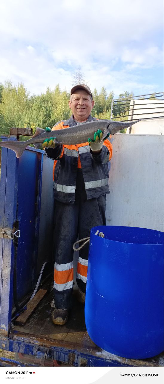 Приехали ленский осётр + бестер